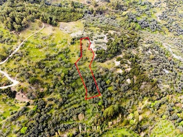 MUĞLA YATAĞAN TURGUT MAHALLESİ 692 M2 SATILIK BAHÇE
