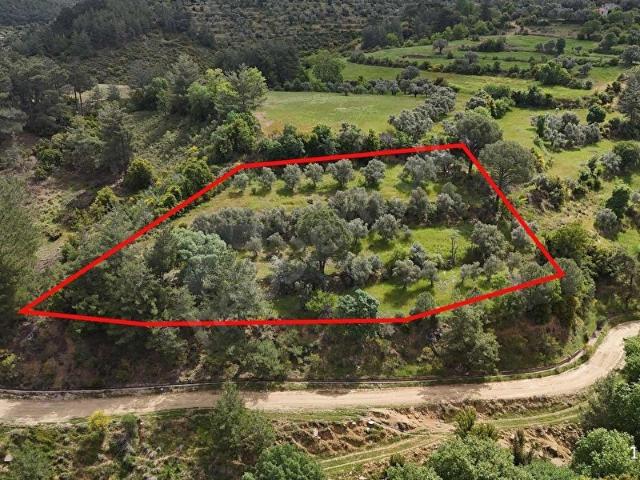 MUĞLA YATAĞAN YUKARIYAYLA 3293 M2 SATILIK TARLA