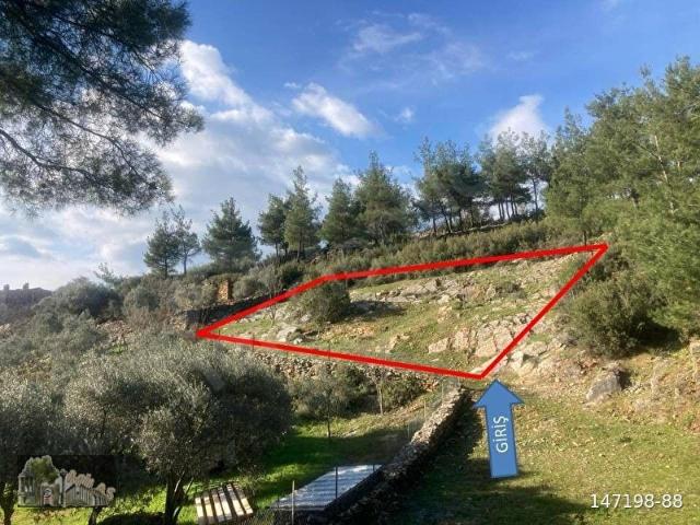 Muğla Yatağan'da, Doğayla İç İçe, Yerleşim Alanında 457 m Tarla