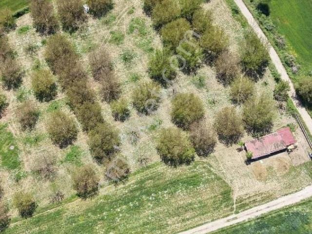 Muğla Yeşilyurt Mah. 4.528m² Bağevi+meyve Bahçesi