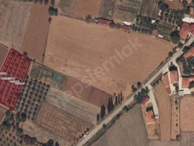 MUĞLA YENİCE MAHALLESİNDE SATILIK TARLA YATIRIMLIK FIRSAT! 2.250 m