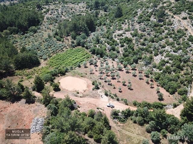 MUĞLA YERKESİK'TE SATILIK TARLA