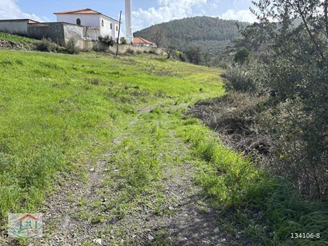 MUĞLA ZEYTİNKÖY GÖKÇEBELENDE SATILIK 2600 TARLA