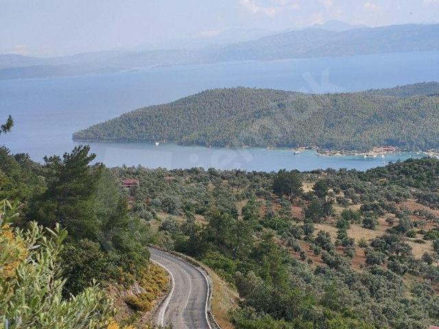 MUĞLA ZEYTİNKÖYDE DENİZ MANZARALI 6.878 m SATILIK ZEYTİNLİK