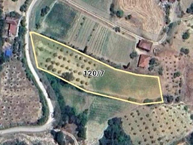 Muğla Çamoluk Mahallesi satılık imarlı arsa