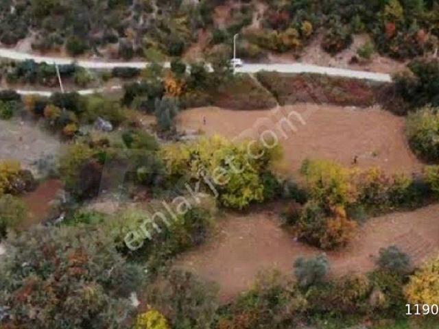 Muğla BAĞYAKA da kelepir 2600 m2 tarla
