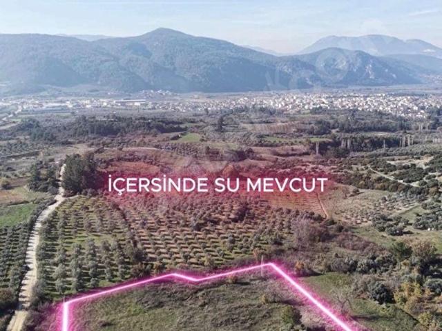 Muğla bayır mahallesi 11392 m2 ticari imar sınırında satılık arazi