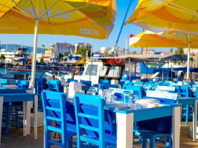 Muğla Bodrum Güllük Projeden Satılık Daireler Denize 100 Mt