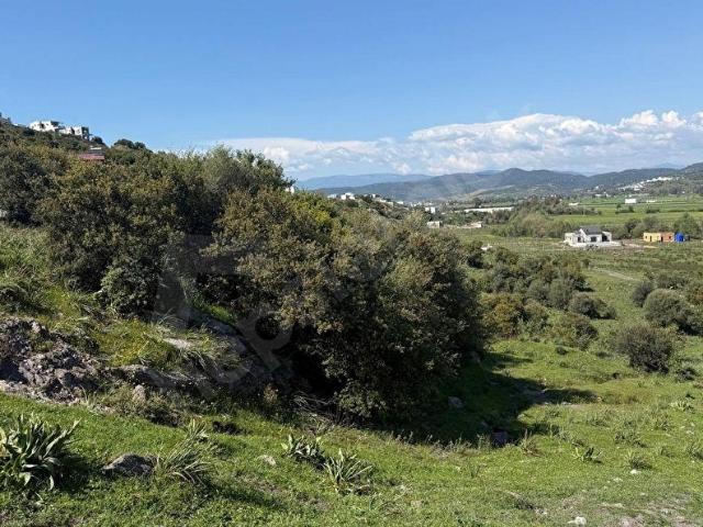 MUĞLA BODRUMMİLAS YOLU MEŞELİK MAHALLESİNDE SATILIK İMARLI ARSA
