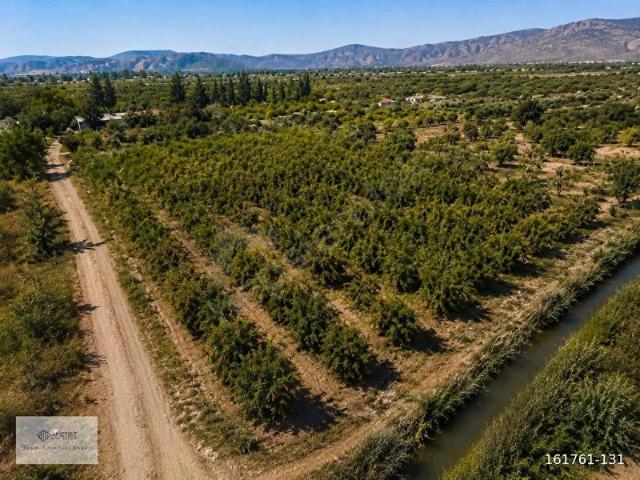 MUĞLA DALYAN ESKİKÖY 30 DÖNÜM SATILIK NAR BAHÇESİ