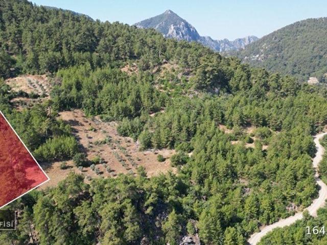 MUĞLA DENİZOVA'DA SATILIK 4046 METREKARE TARLA