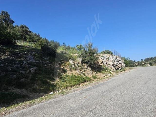 Muğla Denizova'da Asfalta Sıfır 1.235 m2 Fırsat Arazi