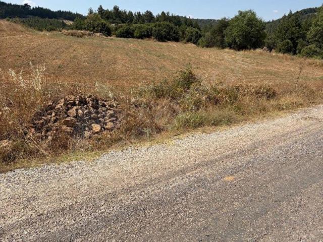MUĞLA ELMACIK'TA 8.711 M SATILIK TARLA