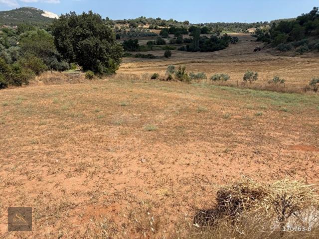 MUĞLA ELMACIK'TA SATILIK 2.440 M TARLA