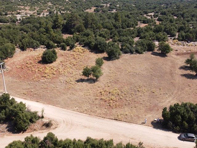 MUĞLA ŞENYAYLA SATILIK TARLA