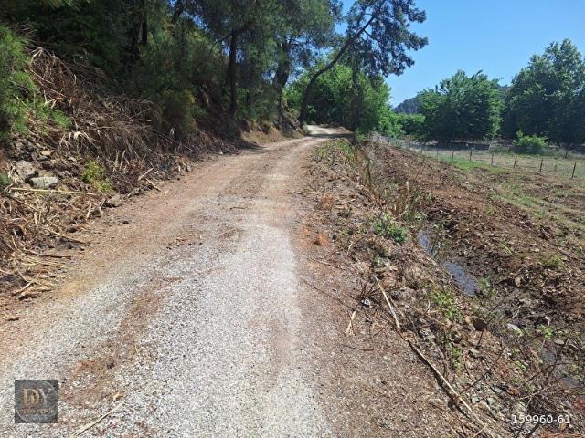 MUĞLA FETHİYE YANIKLAR'DA SATILIK TARLA
