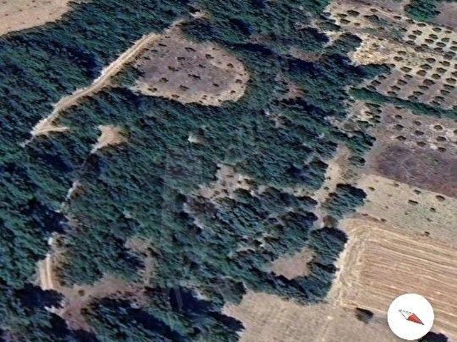 MUĞLA GOKTEPE MAHELLESİNDE SATILIK TARLA