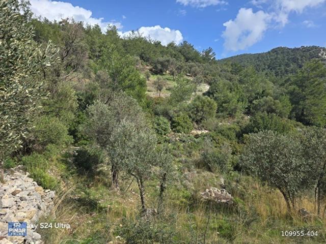 MUĞLA İLİ,MİLAS İLÇESİ,ÇAMLICA MAH.FULL DENİZ MANZARALI 2.255 M2