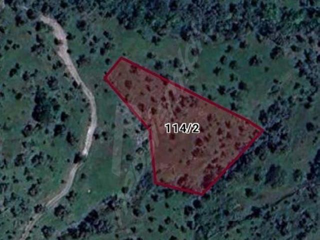 MUĞLA İLİ MİLAS İLÇESİ BAYIR MAH.DERE&YOLA CEPHE 3.226 M2 ZEYTİNLİK SATILIK