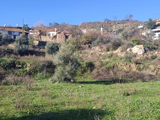 MUĞLA İLİ,MİLAS İLÇESİ,GÜRCEĞİZ MAH.1.343M2 KONUT İMARLI VİLLA ARSASI SATILIK