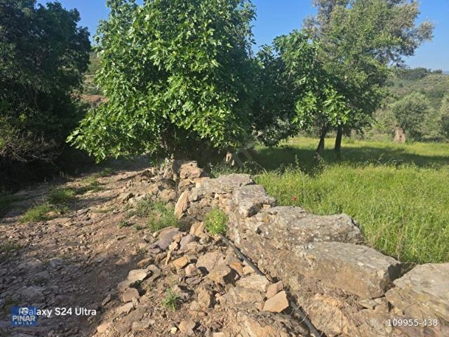MUĞLA İLİ,MİLAS İLÇESİ,GÜRCEĞİZ MAH.KÖY İÇİ 1.342 M2 VKONUT İMARLI VİLLATİNYHAUS ARSASI SATILIK