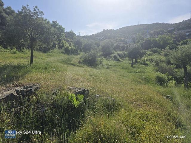 MUĞLA İLİ MİLAS İLÇESİ GÜRCEĞİZ MAH.KÖY İÇİ&YOLA CEPHE 152 M2