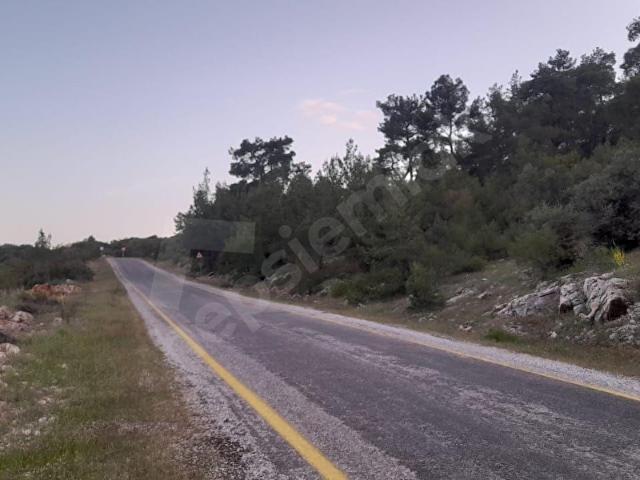 Muğla Çiftlik 19.000 m2 tam 1 yatırımlık 4.5 milyon tl