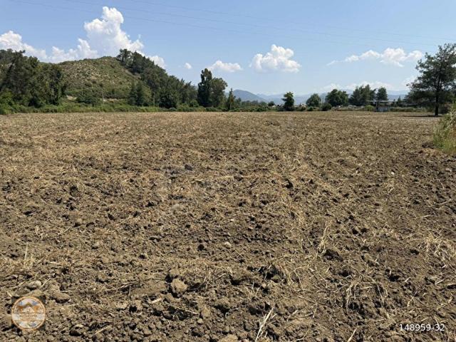 MUĞLA KARABÖRTLEN 'DE SATILIK 29.230 DÖNÜM TARLA