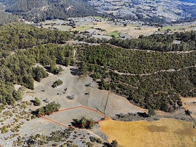 MUĞLA KAVAKLIDERE MENTEŞE MAHALLESİ 3012 M2 SATILIK TARLA