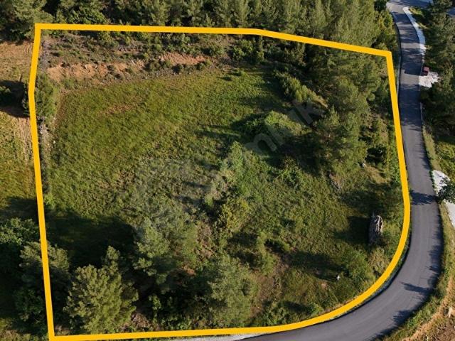 MUĞLA KAVAKLIDERE SALKIM MAHALLESİ 4.895 m2 SATILIK TARLA