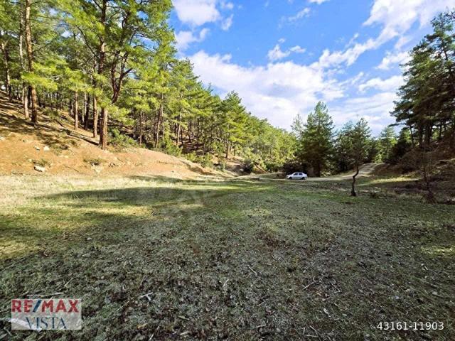 MUĞLA KAVAKLIDEREDE 5.680 M2 SATILIK TARLA