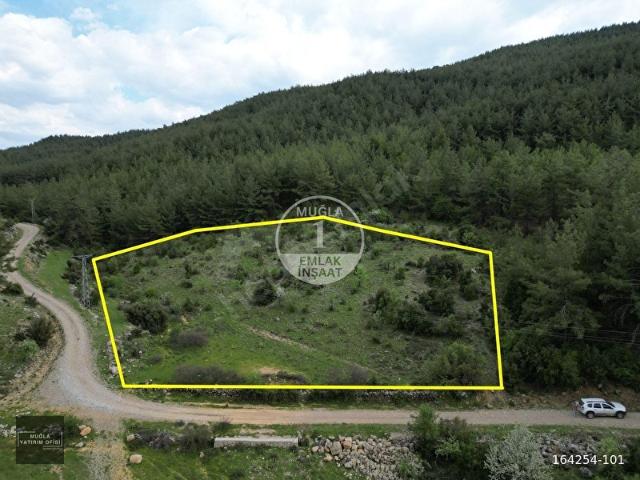 MUĞLA KIRAN'DA TARIM İMARLI SATILIK TARLA