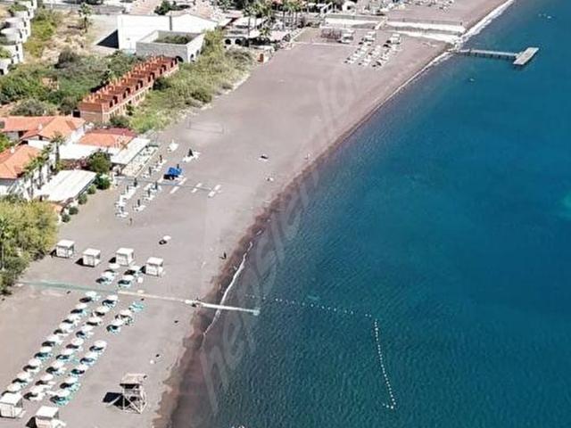 MUĞLA KÖYCEĞİZ EKİNCİKTE MÜKEMMEL DENİZ MANZARALI ZEYTİNLİK