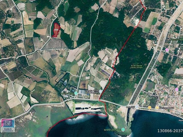 Muğla Köyceğiz Toparlar Göle Yakın Yatırımlık Satılık Arazi