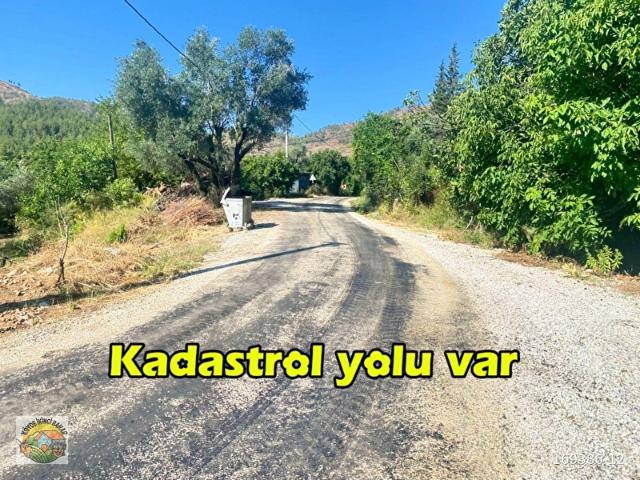 Muğla köyceğiz Çayhisarda 4 dönüm satılık Tarla