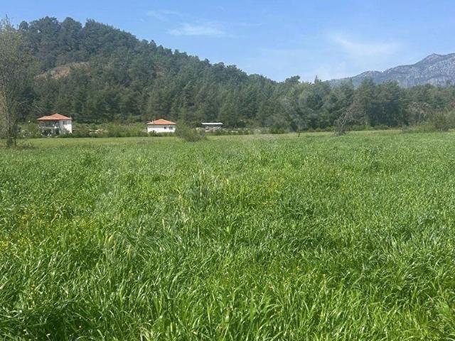 Muğla Köyceğiz Beyobası'nda 3817m Tek Tapu Tarla