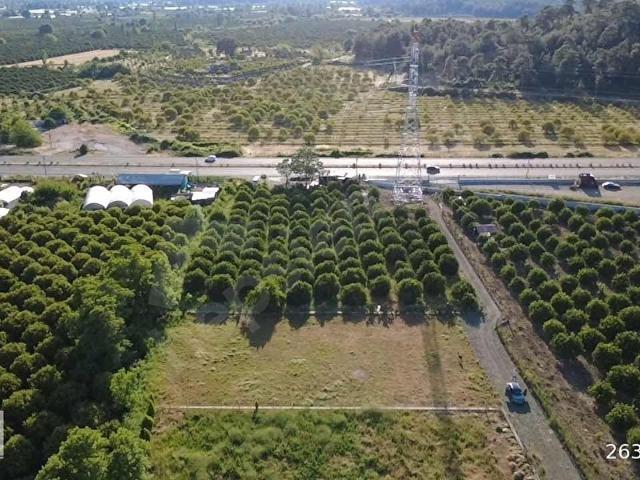 Muğla Köyceğiz Beyobası'nda Satılık 669 m2 Hisseli Tarla
