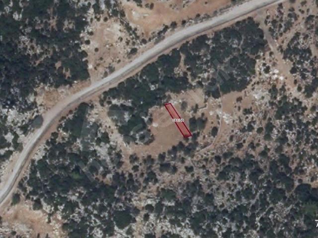 MUĞLA MARMARİS SÖĞÜT'TE 140m SATILIK TARLA