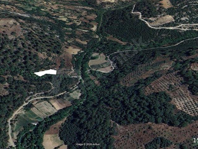 Muğla Menteşe Çatakbağyakada 1.297 m Satılık Tarla.