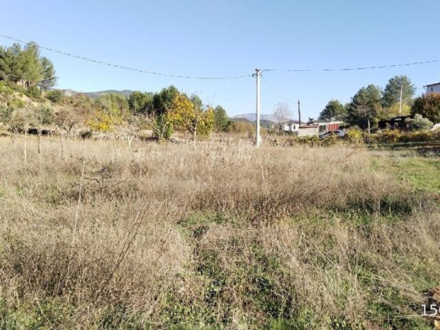 MUĞLA MENTEŞE AKÇAOVA