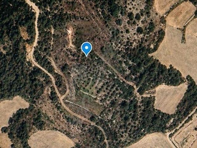 Muğla Menteşe Algı da Emsallerine Göre Uygun Yatırımlık Arazi