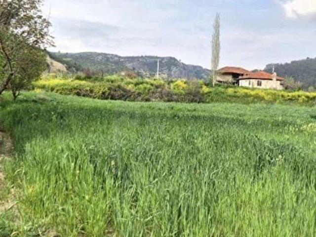 MUĞLA MENTEŞE ÇAMOLUKTA İMARLI TARLA