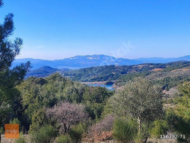 MUĞLA MENTEŞE BAYIR 11.139 M2 SATILIK TARIM ARAZİSİ