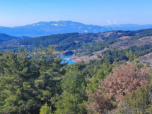 MUĞLA MENTEŞE BAYIRDA 4.865 M2 SATILIK TARLA
