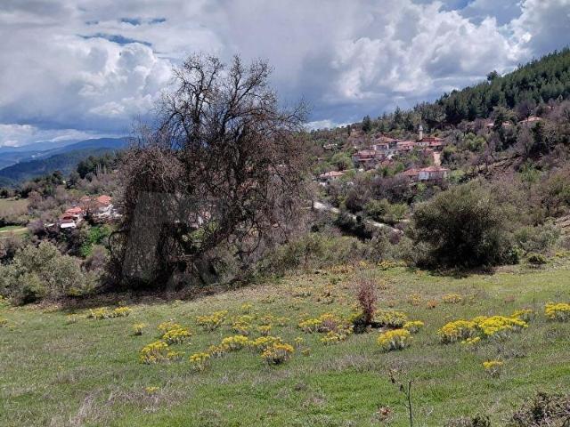 Muğla Menteşe Bozyer Mahallesinde 10.611 m Satılık Tarla.