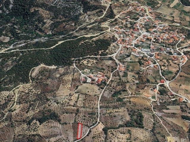 Muğla, Menteşe, Denizova'da 509 m Satılık Zeytinli Tarla.