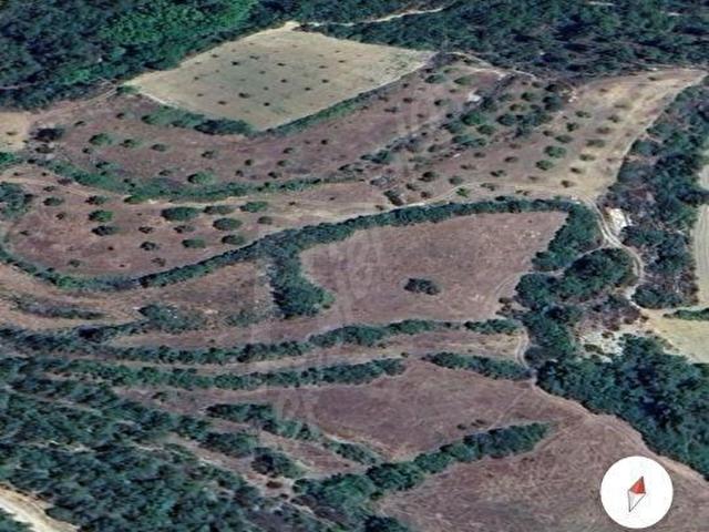 MUĞLA MENTEŞE ESENÇAY DA SATILIK CEVİZ BAHÇESİ