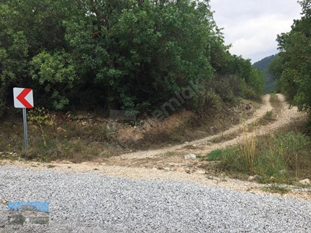 muğla menteşe göktepe köyün de 12980.m2 yolu olan tarla