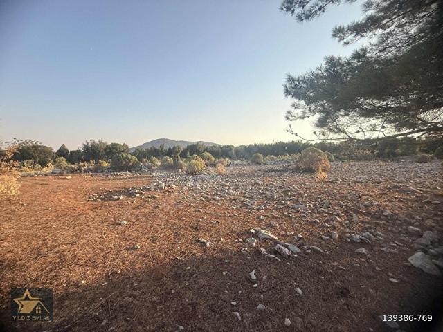 MUĞLA MENTEŞE ÇİFTLİKTE ASFALT YOLA SIFIR 11.872 M TARLA