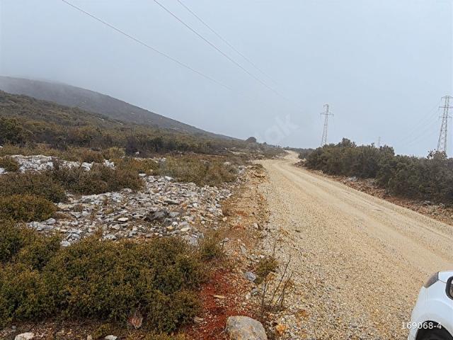 MUĞLA MENTEŞE İKİZCE DE 1955 METRE TARLA
